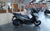 Honda forza 125
