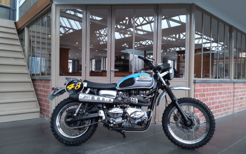 Triumph 900 scrambler