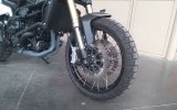 Benelli Leoncino 800T