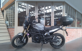 Benelli Leoncino 800T