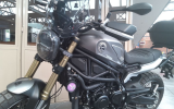 Benelli Leoncino 800T