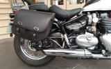 Triumph speedmaster 1200