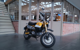 Honda Monkey 125