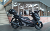 Honda forza 125 abs