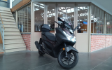 Honda forza 125 abs