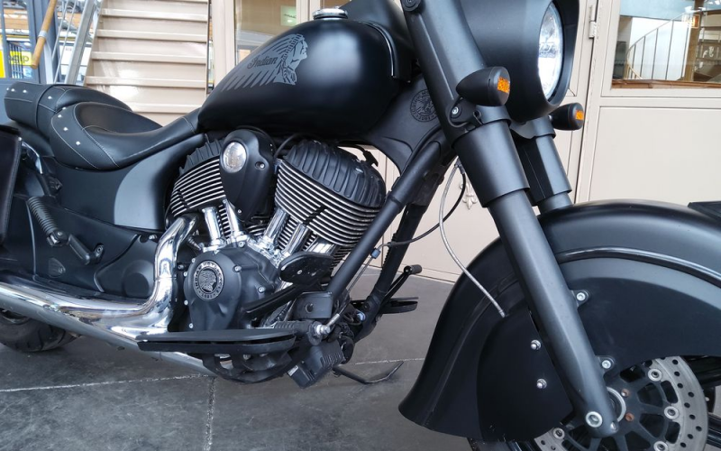 Indian chief dark horse