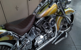 Harley Softail " Chicano "