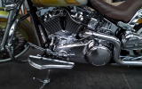 Harley Softail " Chicano "