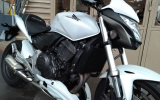 Honda 600 hornet