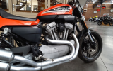 Harley xr 1200