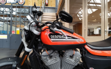 Harley xr 1200