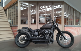 Harley street bob