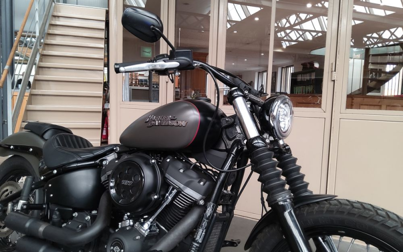 Harley street bob
