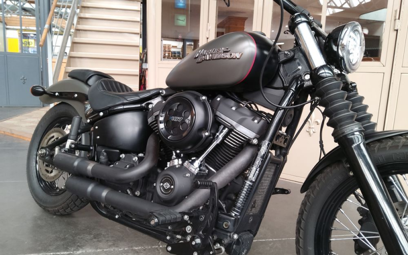 Harley street bob