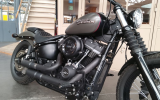 Harley street bob