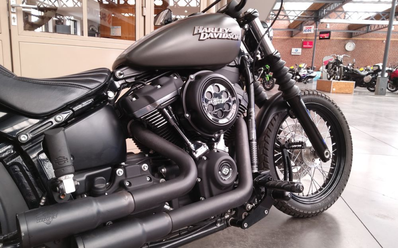 Harley street bob