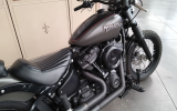 Harley street bob