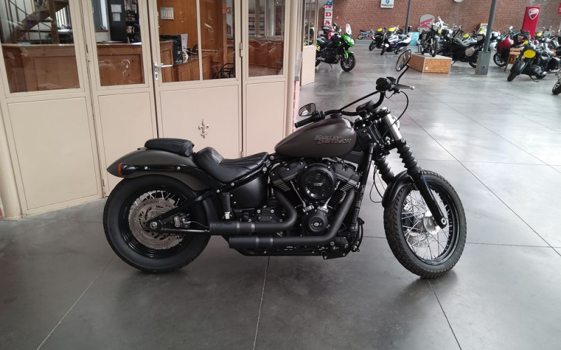 Harley street bob