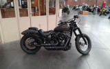 Harley street bob