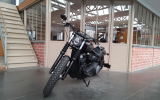 Harley street bob