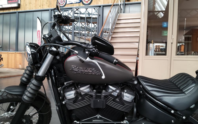 Harley street bob