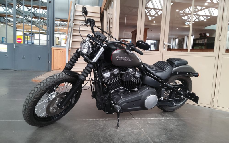 Harley street bob