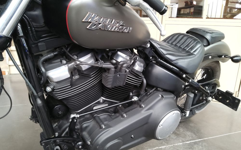 Harley street bob