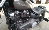 Harley street bob