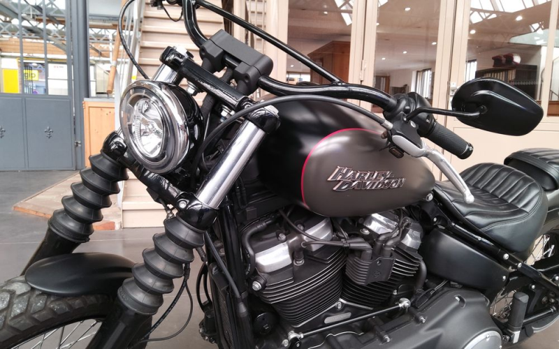 Harley street bob