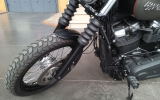 Harley street bob