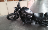 Harley street bob