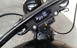 Harley street bob