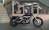 Harley street bob 1584
