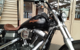 Harley street bob 1584