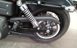 Harley street bob 1584