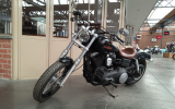 Harley street bob 1584