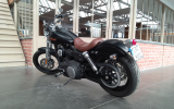 Harley street bob 1584