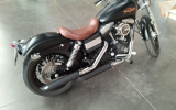 Harley street bob 1584